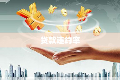 太麻里贷款违约率