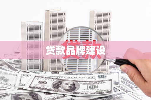 太麻里贷款品牌建设