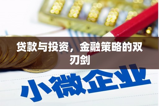 太麻里贷款与投资，金融策略的双刃剑