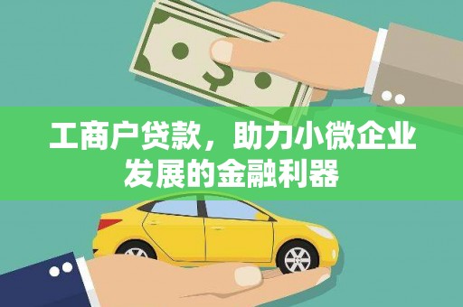 太麻里工商户贷款，助力小微企业发展的金融利器