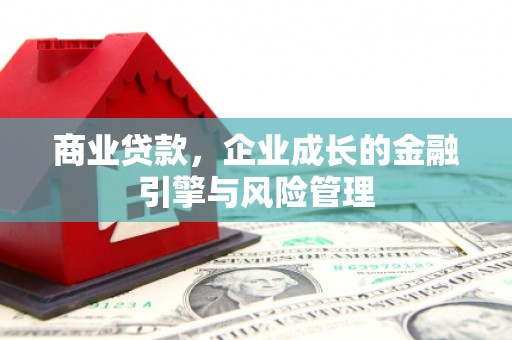 太麻里商业贷款，企业成长的金融引擎与风险管理