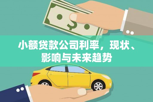 太麻里小额贷款公司利率，现状、影响与未来趋势