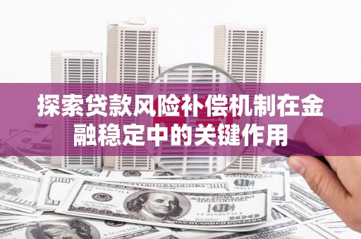 太麻里探索贷款风险补偿机制在金融稳定中的关键作用