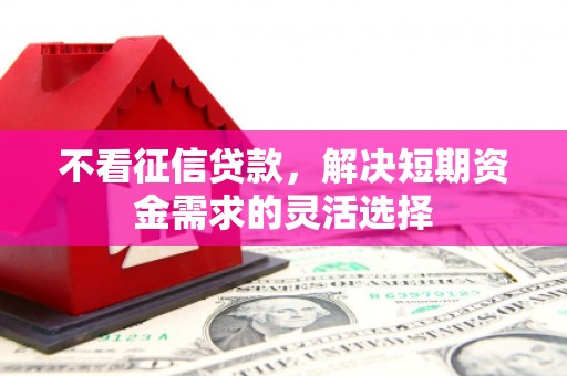 太麻里不看征信贷款，解决短期资金需求的灵活选择