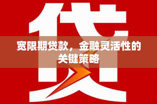 太麻里宽限期贷款，金融灵活性的关键策略