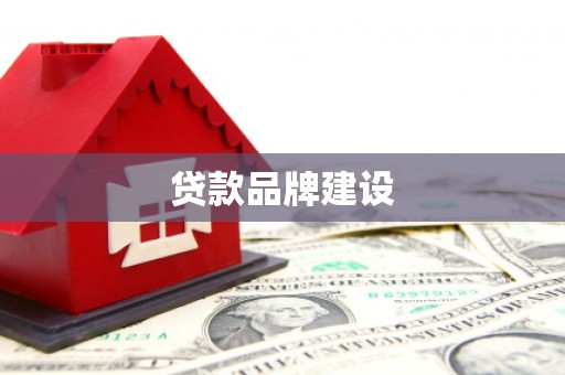 太麻里贷款品牌建设