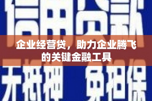 太麻里企业经营贷，助力企业腾飞的关键金融工具