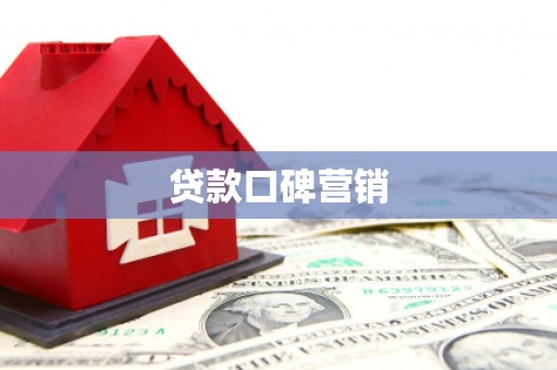 太麻里贷款口碑营销