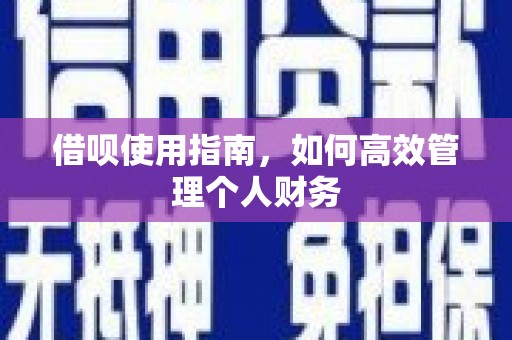 太麻里借呗使用指南，如何高效管理个人财务