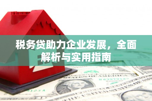 太麻里税务贷助力企业发展，全面解析与实用指南