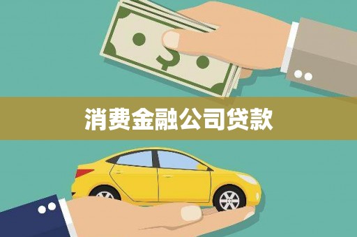 太麻里消费金融公司贷款