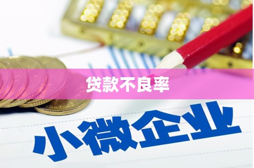 太麻里贷款不良率