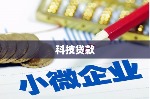太麻里科技贷款