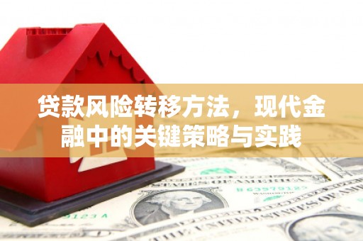 太麻里贷款风险转移方法，现代金融中的关键策略与实践