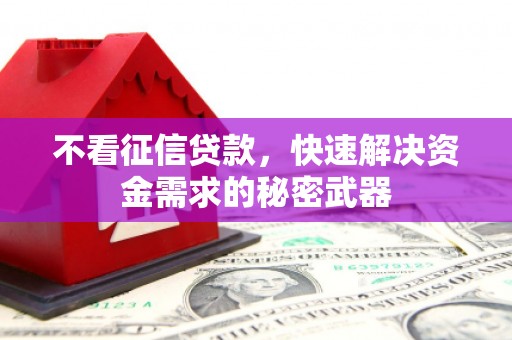 太麻里不看征信贷款，快速解决资金需求的秘密武器