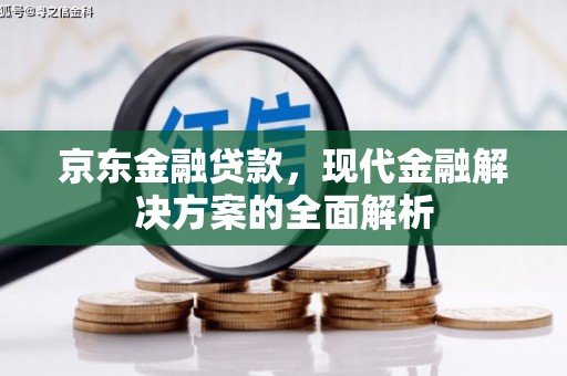 太麻里京东金融贷款，现代金融解决方案的全面解析