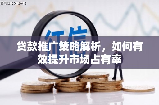 太麻里贷款推广策略解析，如何有效提升市场占有率