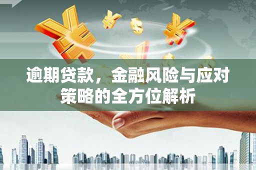 太麻里逾期贷款，金融风险与应对策略的全方位解析