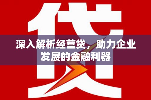 太麻里深入解析经营贷，助力企业发展的金融利器