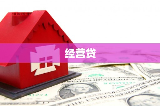 太麻里经营贷