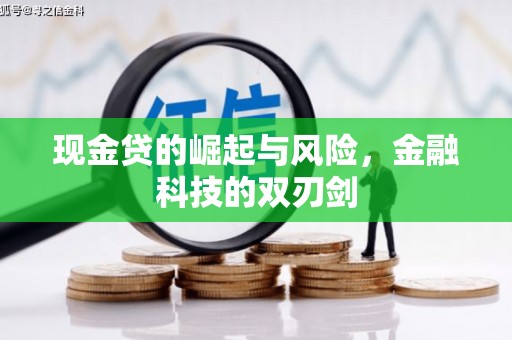太麻里现金贷的崛起与风险，金融科技的双刃剑