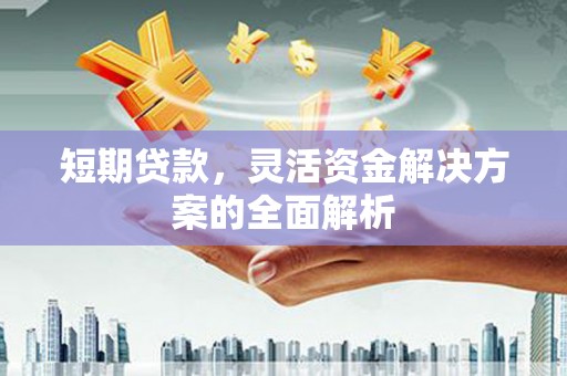 太麻里短期贷款，灵活资金解决方案的全面解析