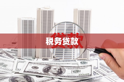 太麻里税务贷款