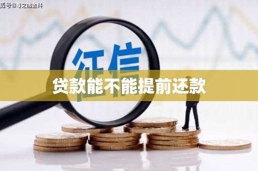 太麻里贷款能不能提前还款