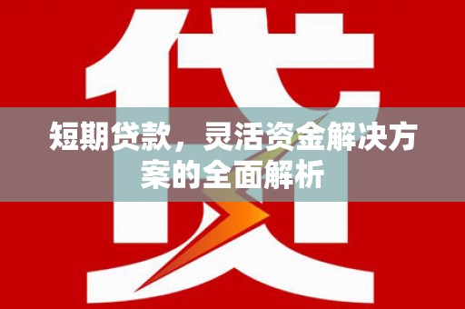 太麻里短期贷款，灵活资金解决方案的全面解析