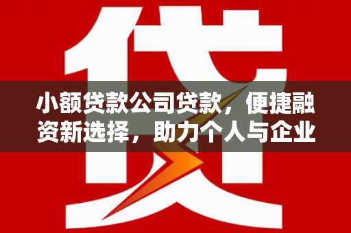 太麻里小额贷款公司贷款，便捷融资新选择，助力个人与企业成长