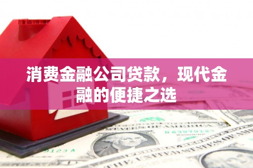 太麻里消费金融公司贷款，现代金融的便捷之选