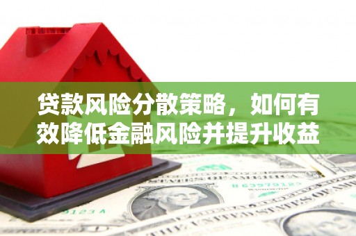 太麻里贷款风险分散策略，如何有效降低金融风险并提升收益