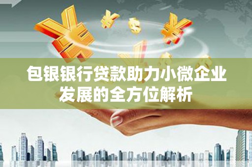 太麻里包银银行贷款助力小微企业发展的全方位解析