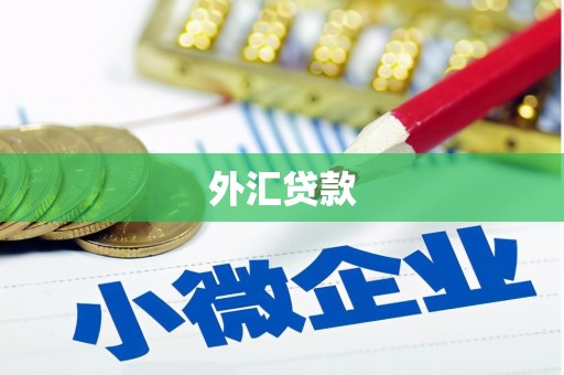 太麻里外汇贷款