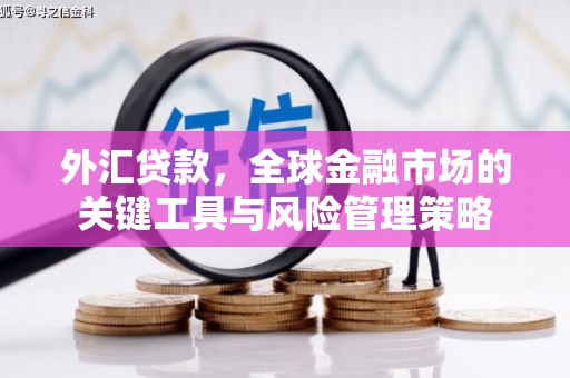 太麻里外汇贷款，全球金融市场的关键工具与风险管理策略