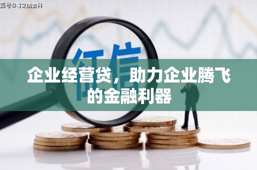 太麻里企业经营贷，助力企业腾飞的金融利器