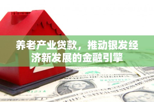 太麻里养老产业贷款，推动银发经济新发展的金融引擎