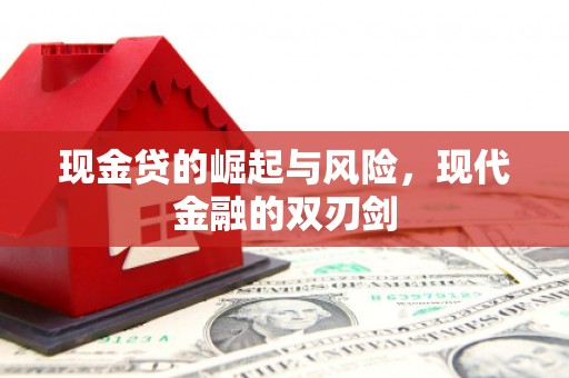 太麻里现金贷的崛起与风险，现代金融的双刃剑