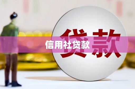 太麻里信用社贷款