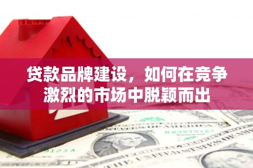 太麻里贷款品牌建设，如何在竞争激烈的市场中脱颖而出
