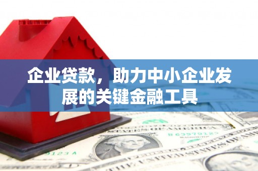 太麻里企业贷款，助力中小企业发展的关键金融工具