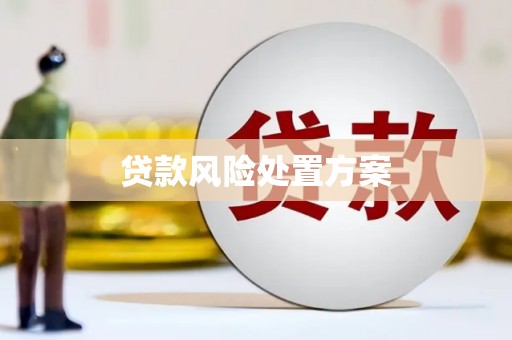 太麻里贷款风险处置方案