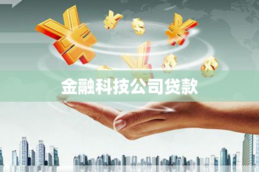 太麻里金融科技公司贷款