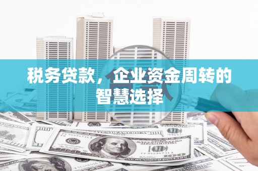 太麻里税务贷款，企业资金周转的智慧选择