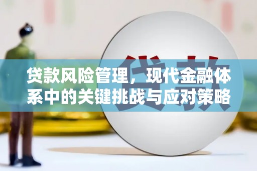 太麻里贷款风险管理，现代金融体系中的关键挑战与应对策略