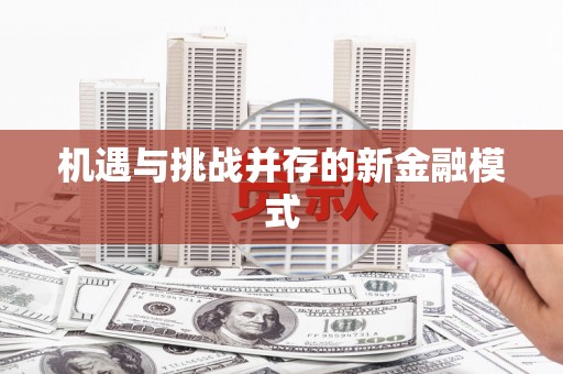 太麻里机遇与挑战并存的新金融模式