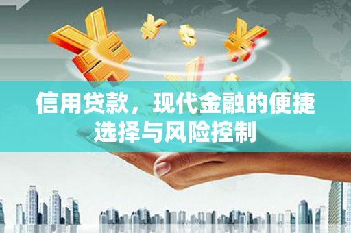 太麻里信用贷款，现代金融的便捷选择与风险控制