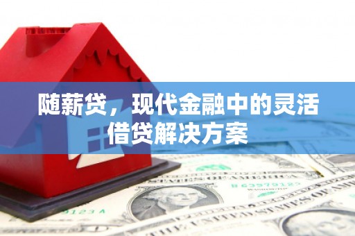 太麻里随薪贷，现代金融中的灵活借贷解决方案
