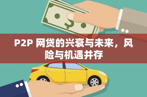 太麻里P2P 网贷的兴衰与未来，风险与机遇并存