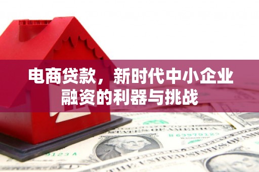 太麻里电商贷款，新时代中小企业融资的利器与挑战